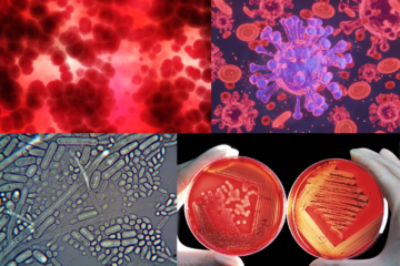 biosafety compliance